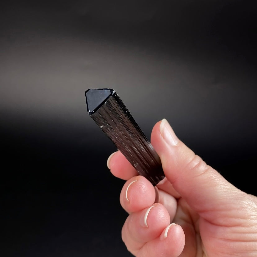 High Grade Black Tourmaline Schorl Crystal with Termination