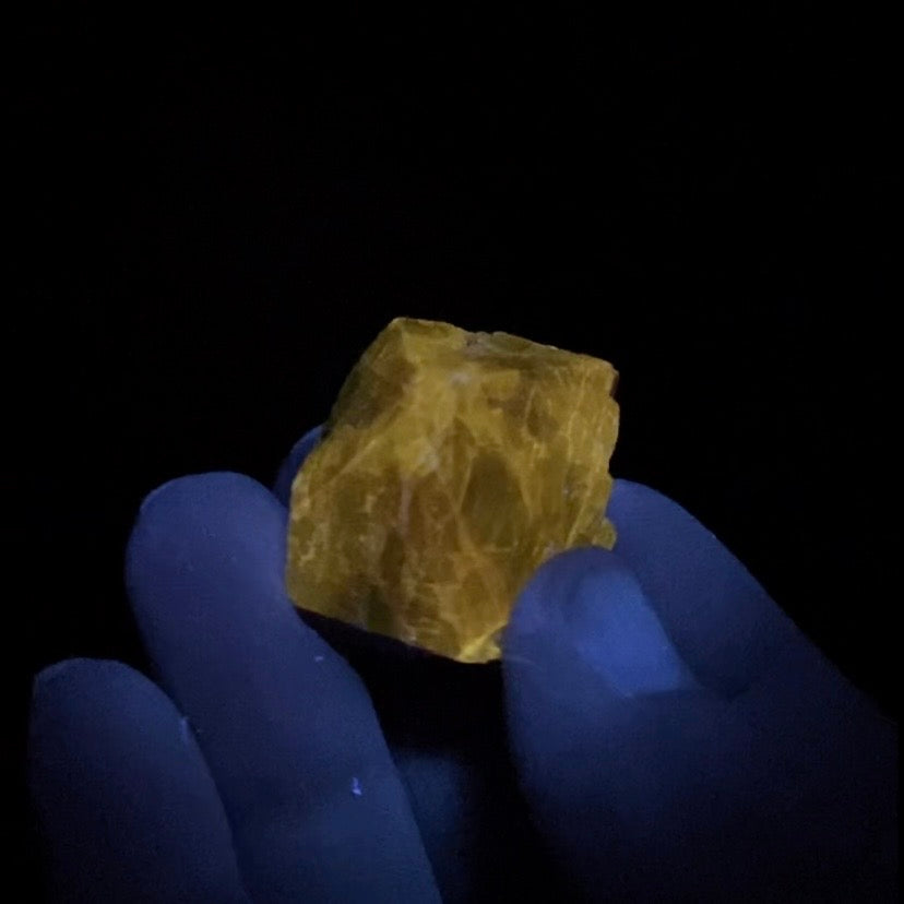 Zircon Crystal with Bright Yellow Fluorescent Apatite Inclusions