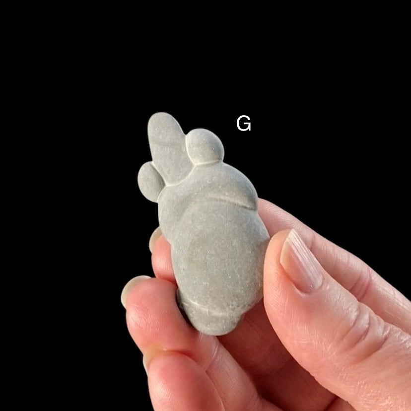Glacial Concretion Fairy Stones from Quebec, Canada