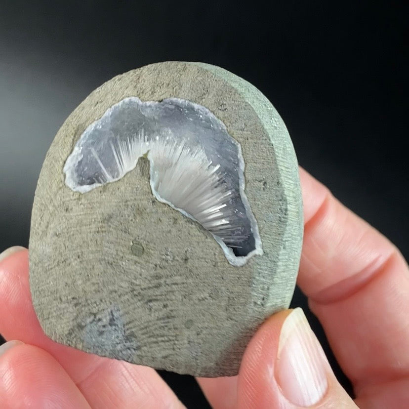 Scolecite Spray with Quartz & Stilbite in Trimmed Basalt Geode Pocket