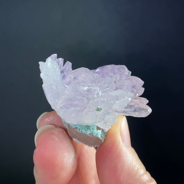 Amethyst Crystal Flower from Ametista do Sul, Brazil