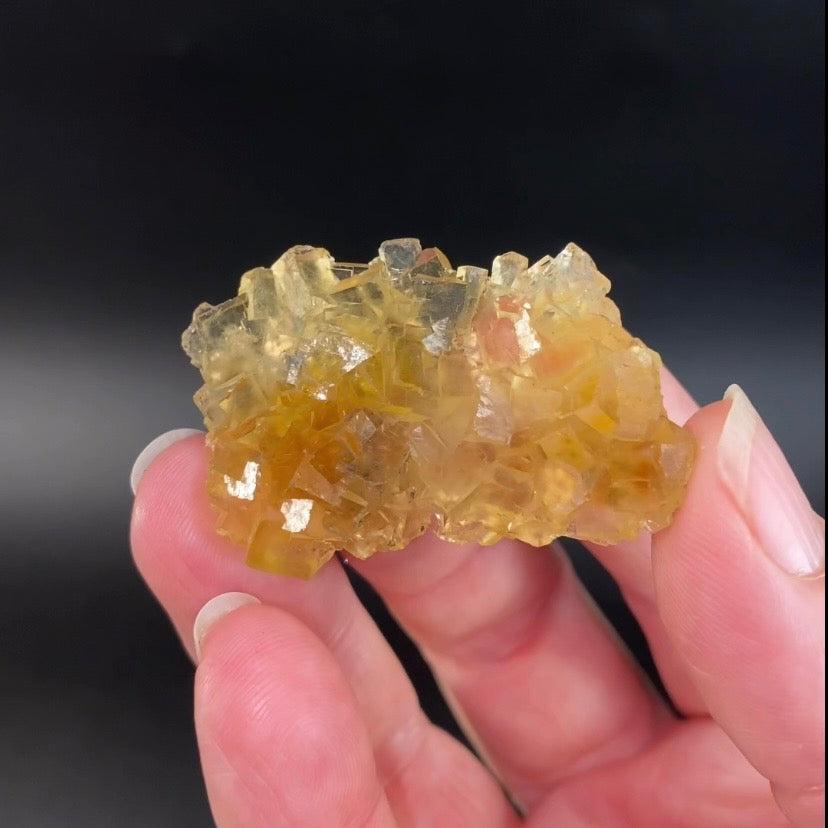 Yellow Moscona Cubic Fluorite Cluster from Asturias Spain - Phosphorescent