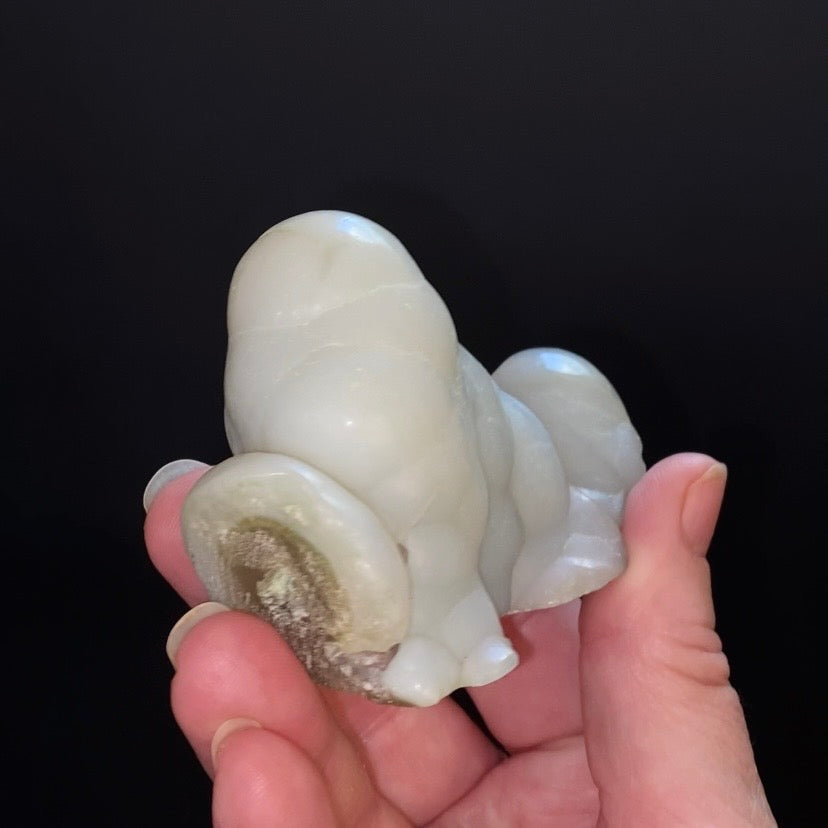 Agatized Botryoidal Chalcedony Specimen – Maharashtra, India