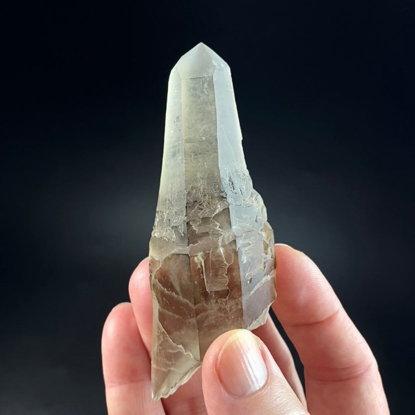 Unique Reverse Scepter Smoky Quartz Crystal