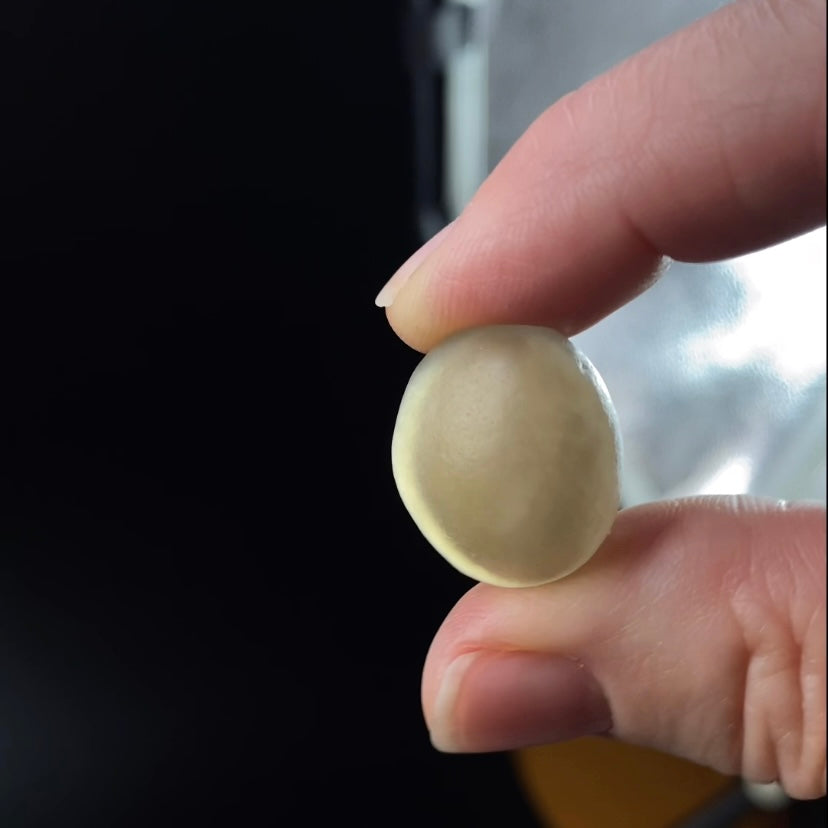 Gobi Desert Agate with Moving Sand Inclusions