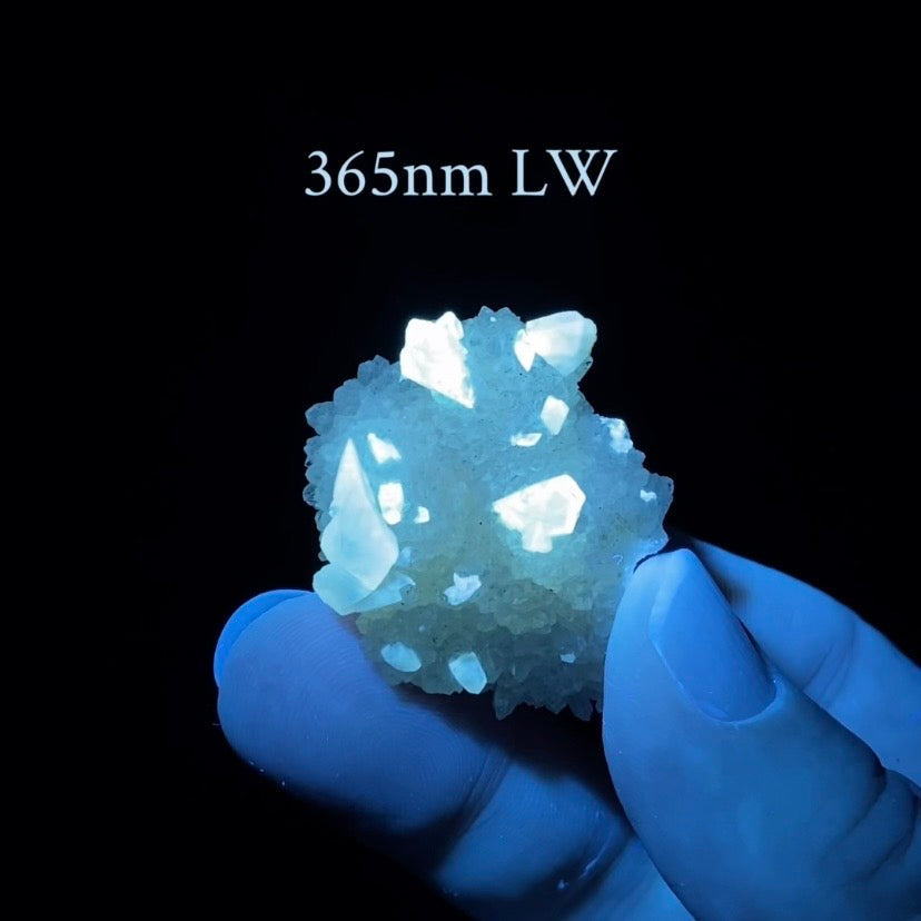 Phosphorescent Golden Feather Calcite Crystals on Druzy Quartz