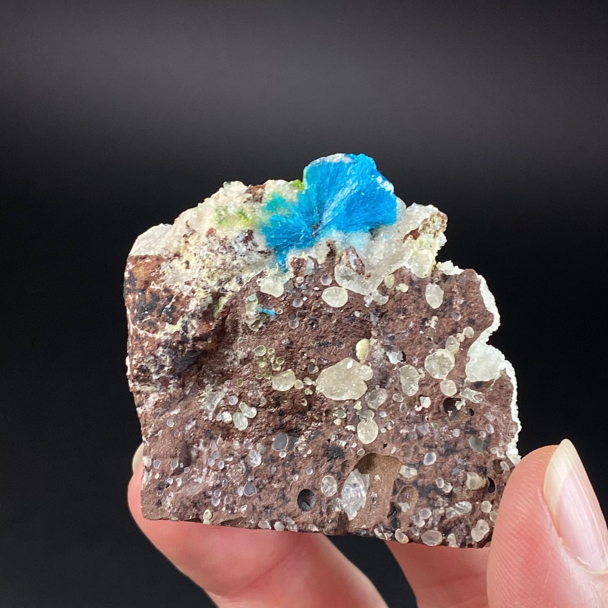 Vibrant Blue Cavansite Cluster on Druzy Quartz & Basalt Matrix