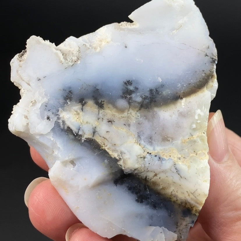 Turkish Dendritic Opal Rough Specimen, Central Anatolia, Turkey