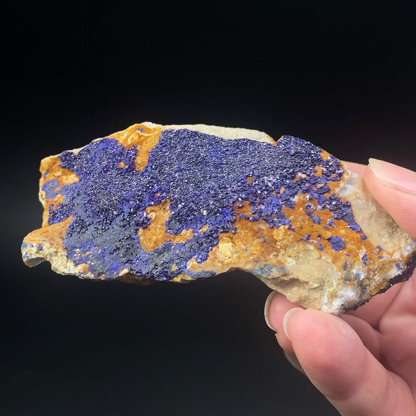 Azurite Crystals on Quartzite, Morocco