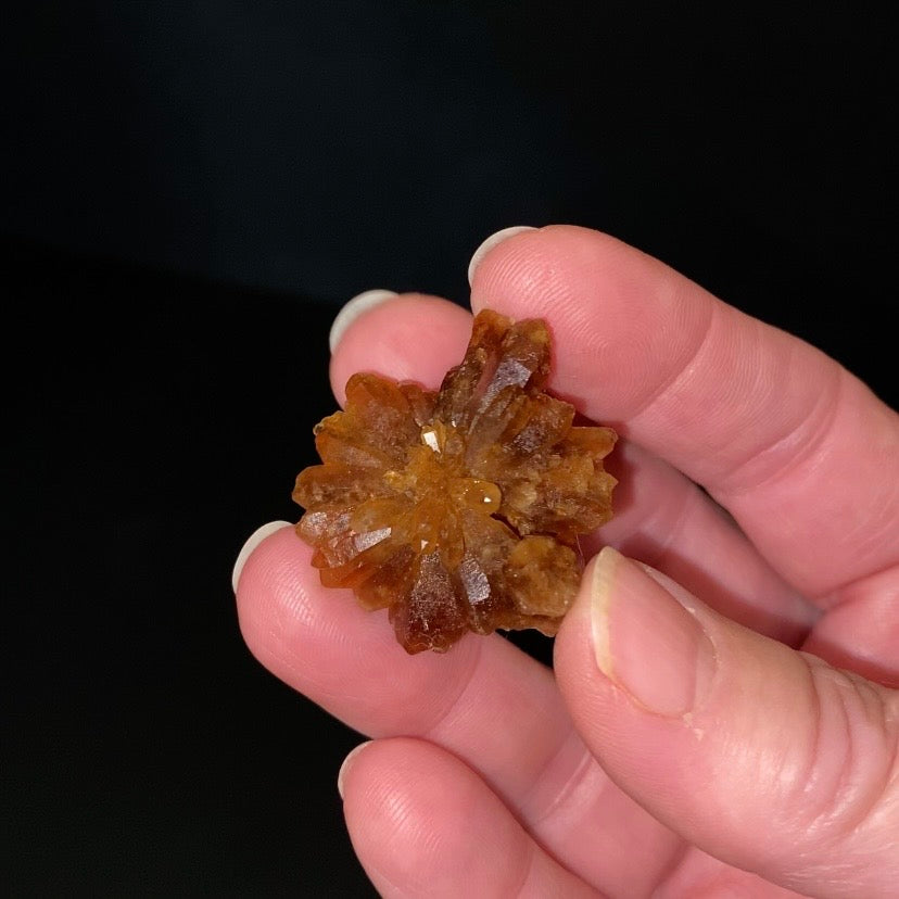 Floater Citrine Colored Honey Brown Quartz Cluster - Midelt, Morocco
