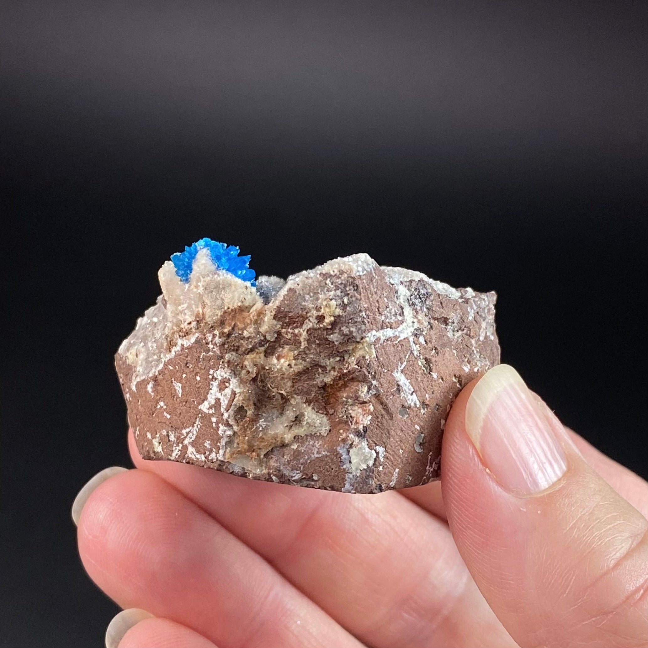 Vibrant Blue Cavansite Cluster on Druzy Stilbite & Basalt Matrix