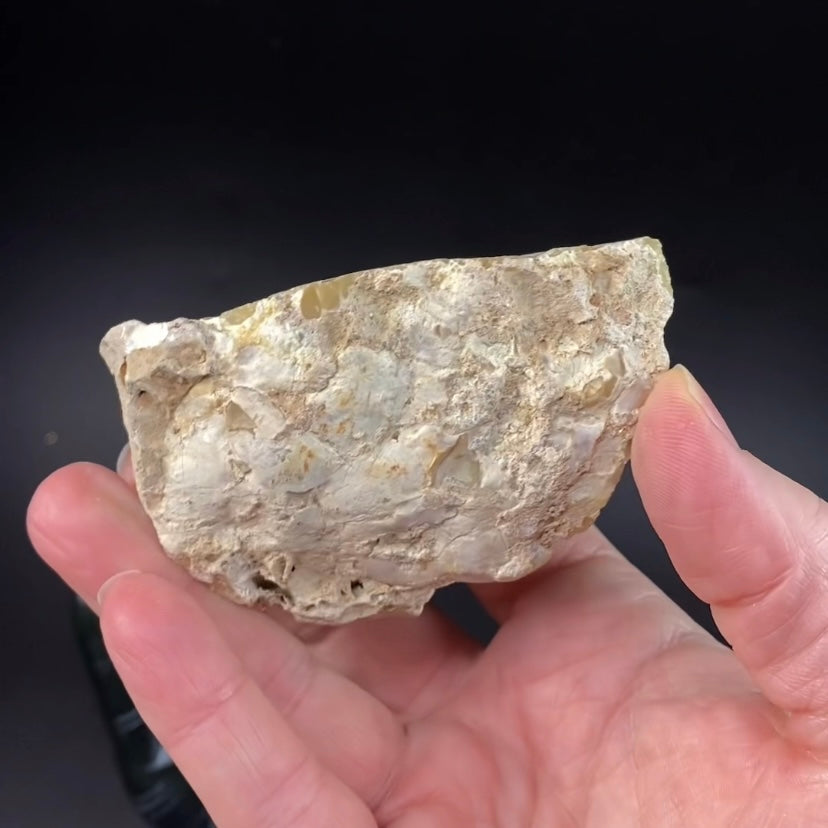 Turkish Dendritic Opal Rough Specimen, Central Anatolia, Turkey