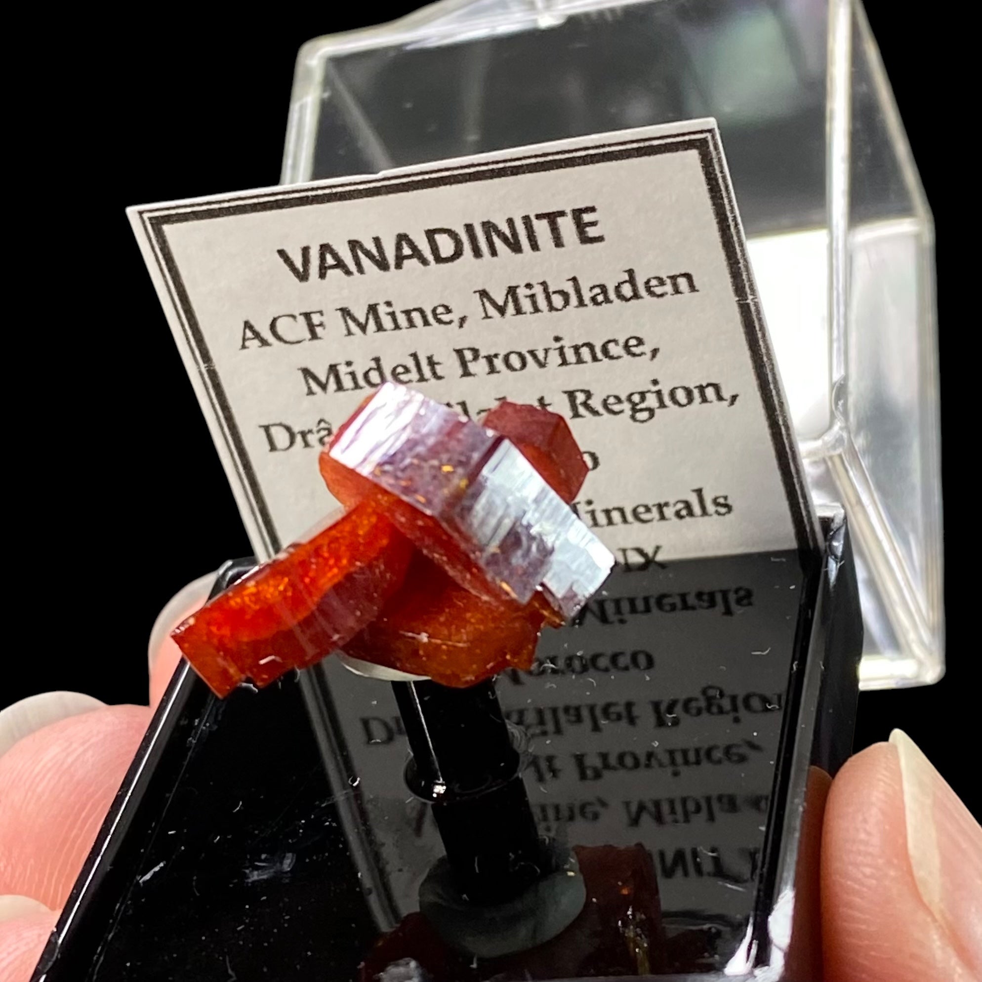 Gemmy Vanadinite Thumbnail Size Cluster in Perky Box