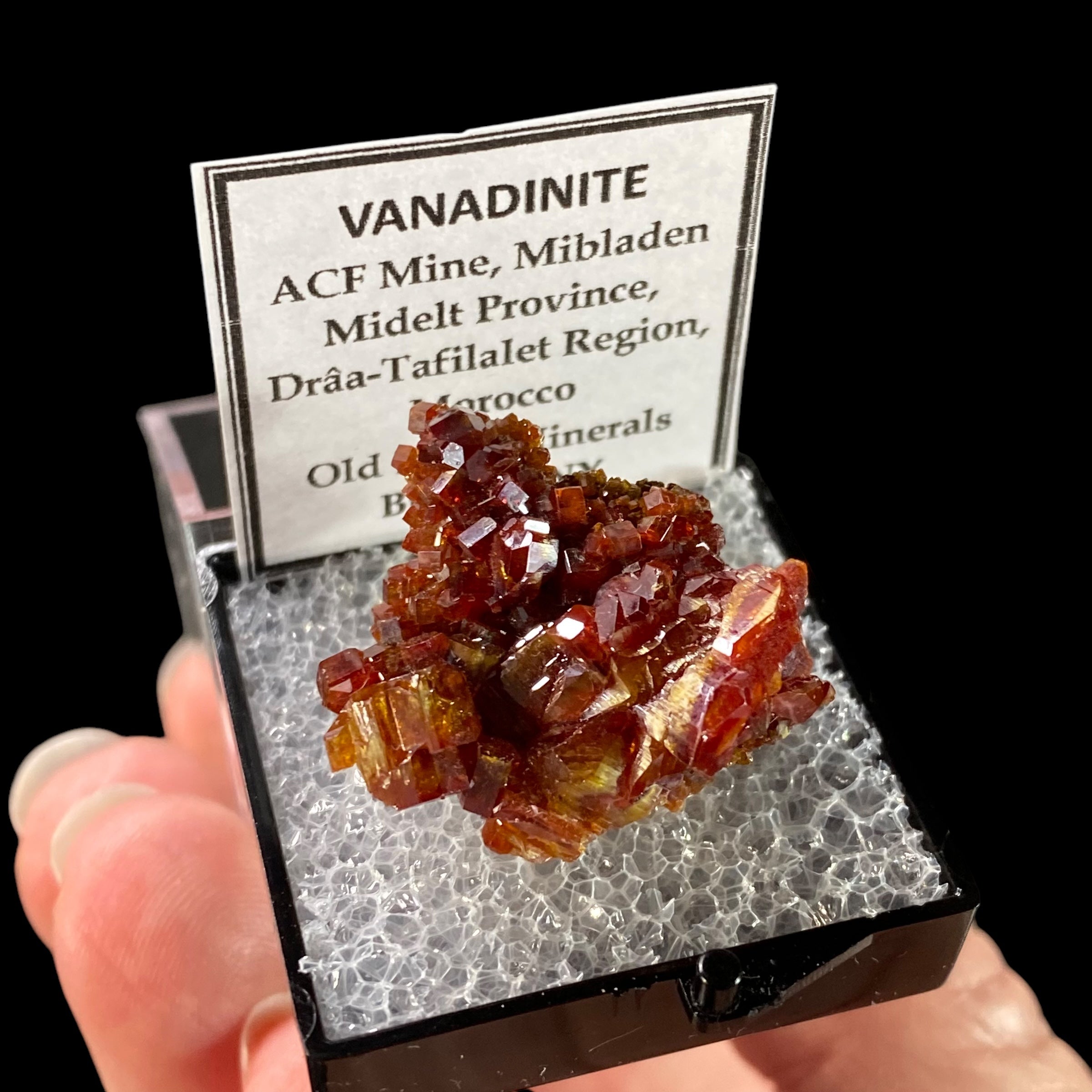 Gemmy Vanadinite Thumbnail Size Cluster in Perky Box