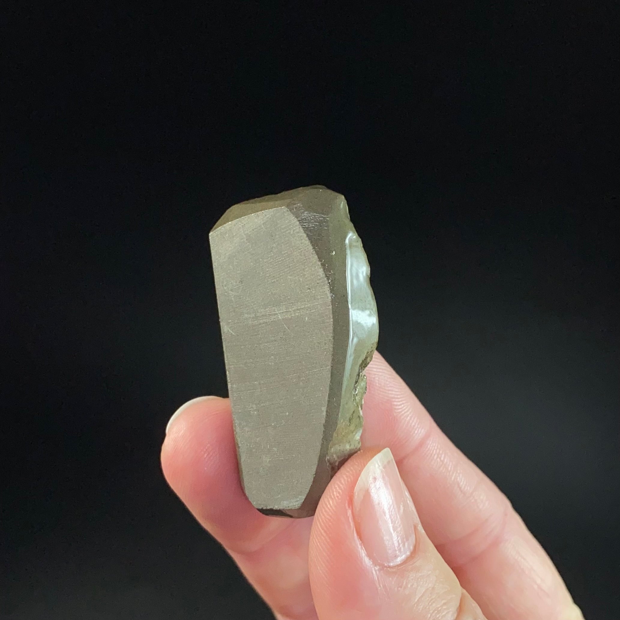Canadian Korite Ammolite Hand Specimen in Display Box