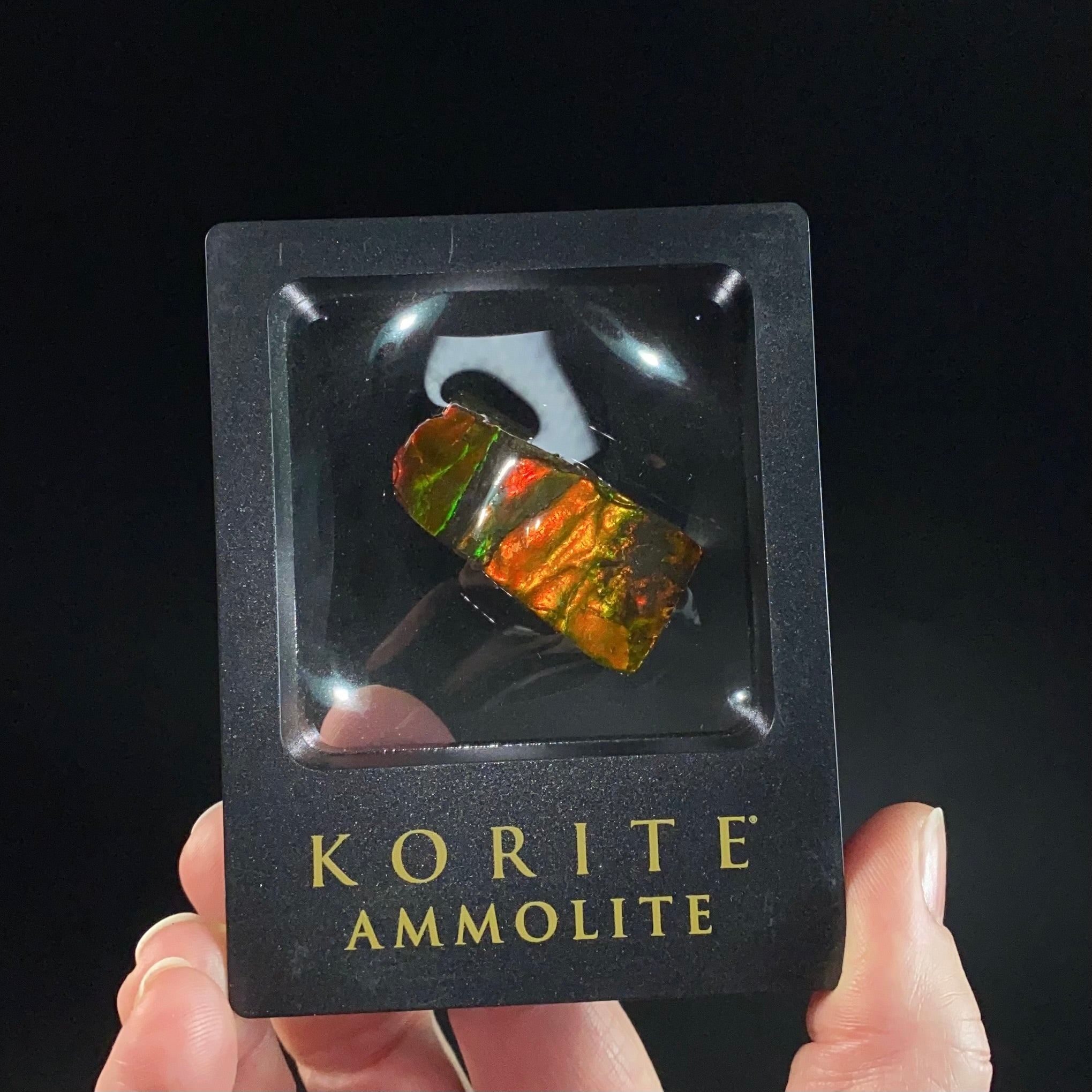 Canadian Korite Ammolite Hand Specimen in Display Box