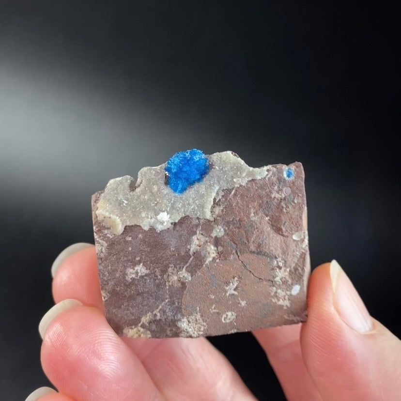 Vibrant Blue Cavansite Cluster on Druzy Stilbite & Basalt Matrix