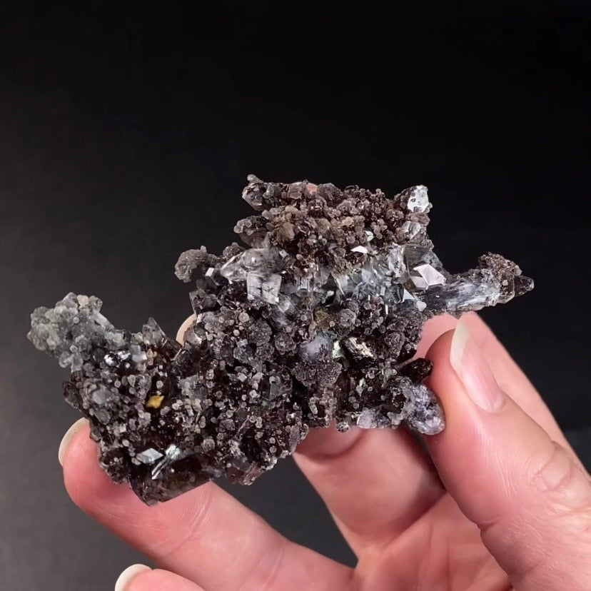 Chocolate Marshy Apophyllite Cluster with Chalcedony from Jalgaon, Maharashtra, India - Natural Crystal Cluster
