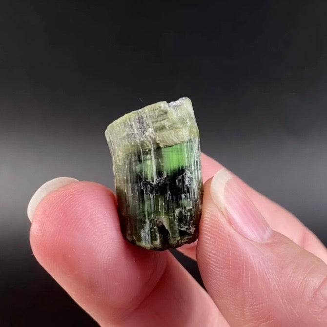 Chatoyant Green Cat's Eye Tourmaline Crystal, Pech, Afghanistan