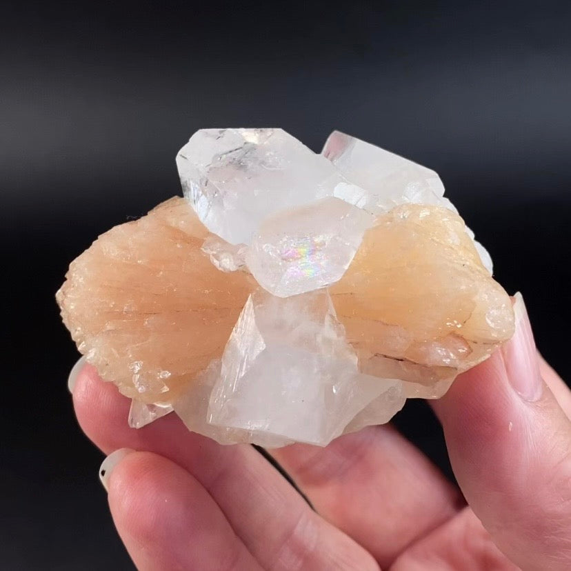Peach Stilbite Bow Tie with Clear Apophyllite Crystals