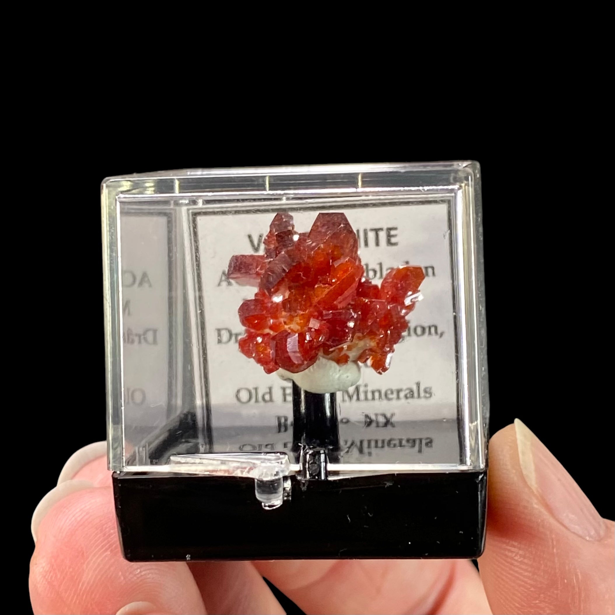 Gemmy Vanadinite Thumbnail Size Cluster in Perky Box