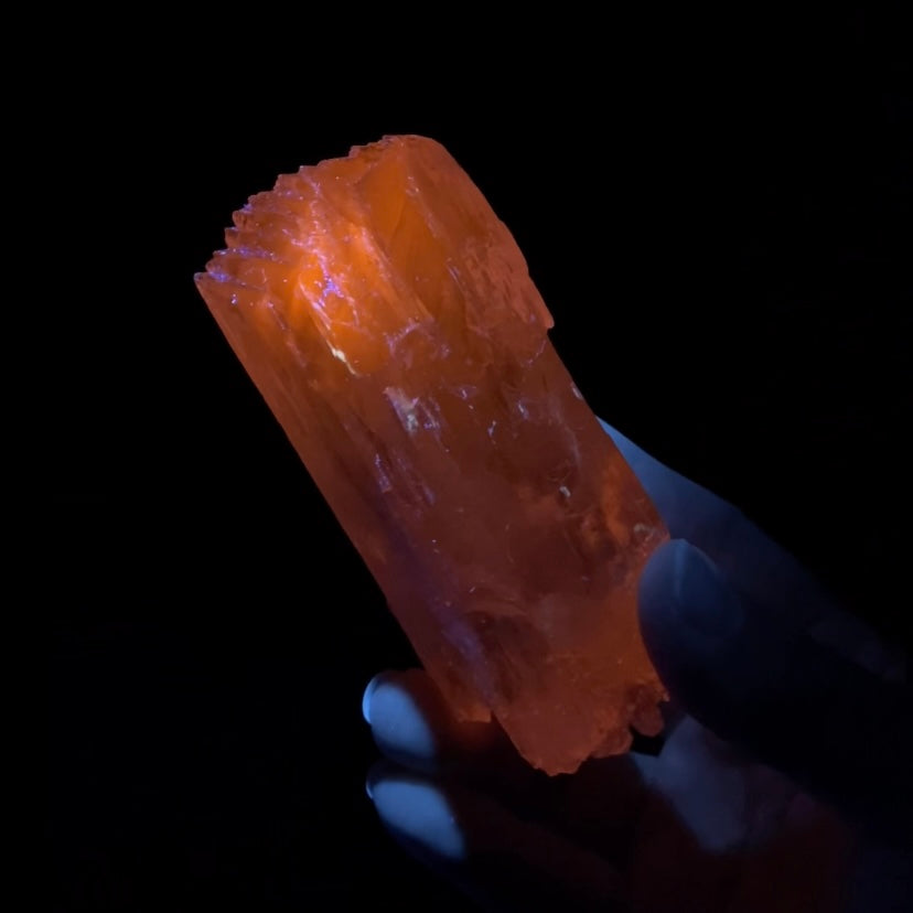 Yellow and Pink Spodumene Triphane Kunzite Crystal with Unique Healed Terminations