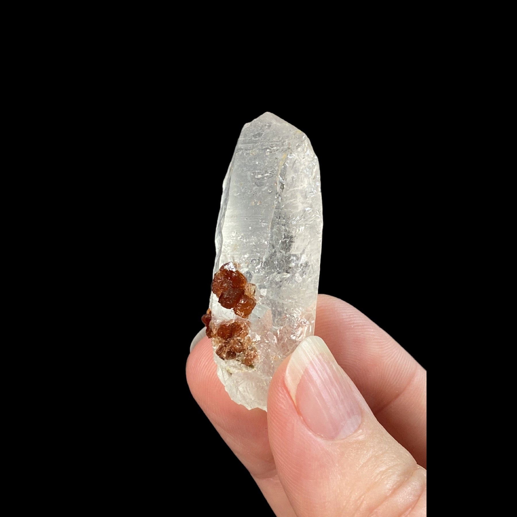 Garnet Crystals on Quartz