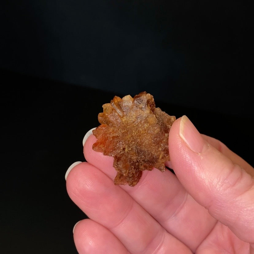 Floater Citrine Colored Honey Brown Quartz Cluster - Midelt, Morocco