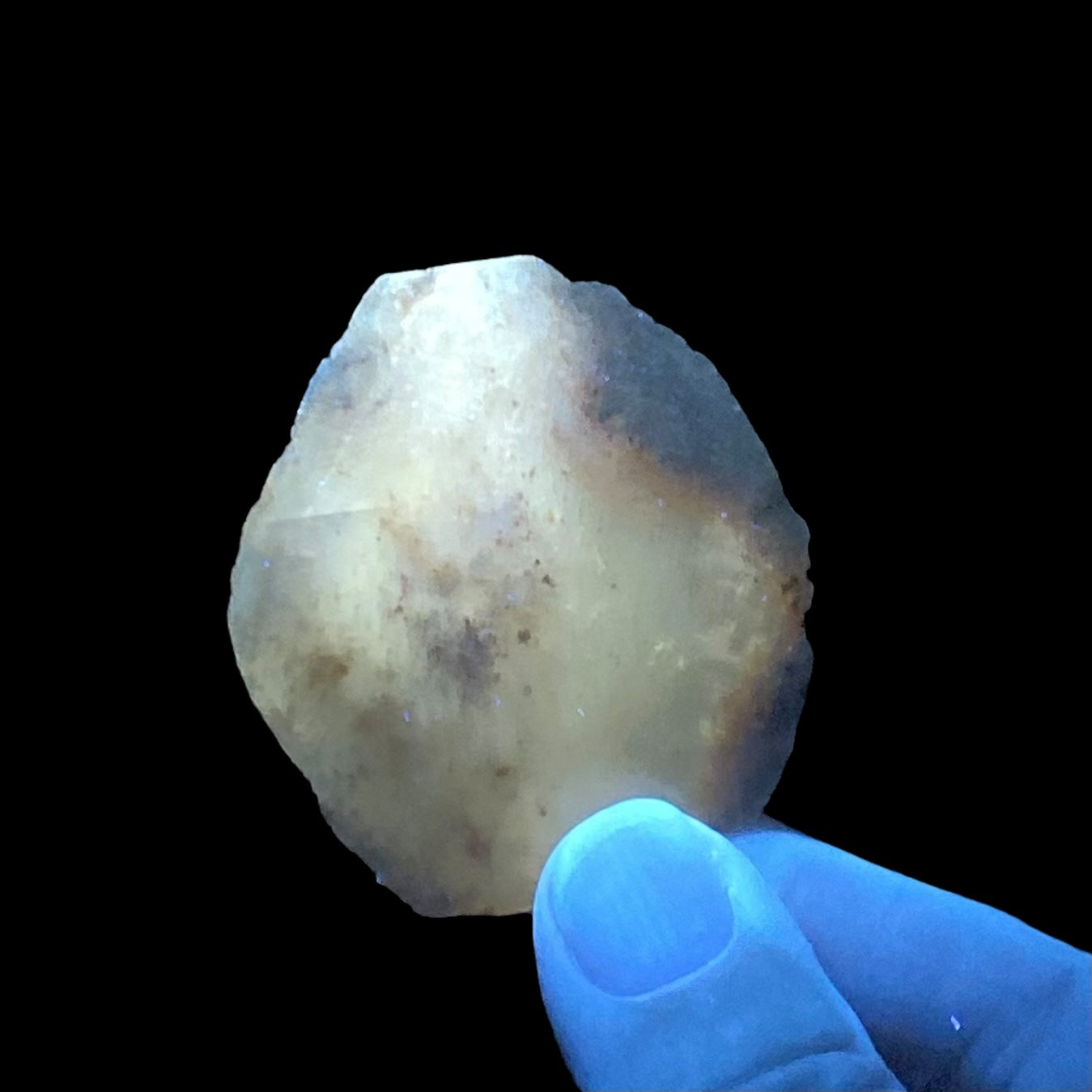 Gypsum var. Selenite Desert Rose Sand Crystal Dollar, Fluorescent