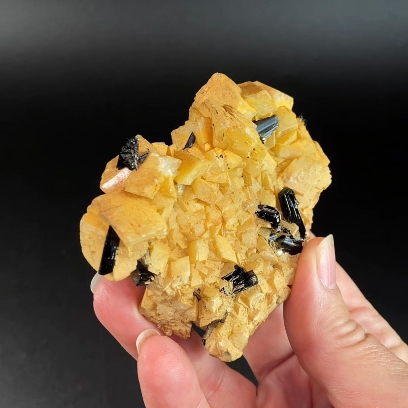 Black Tourmaline Schorl Crystals on Feldspar Matrix