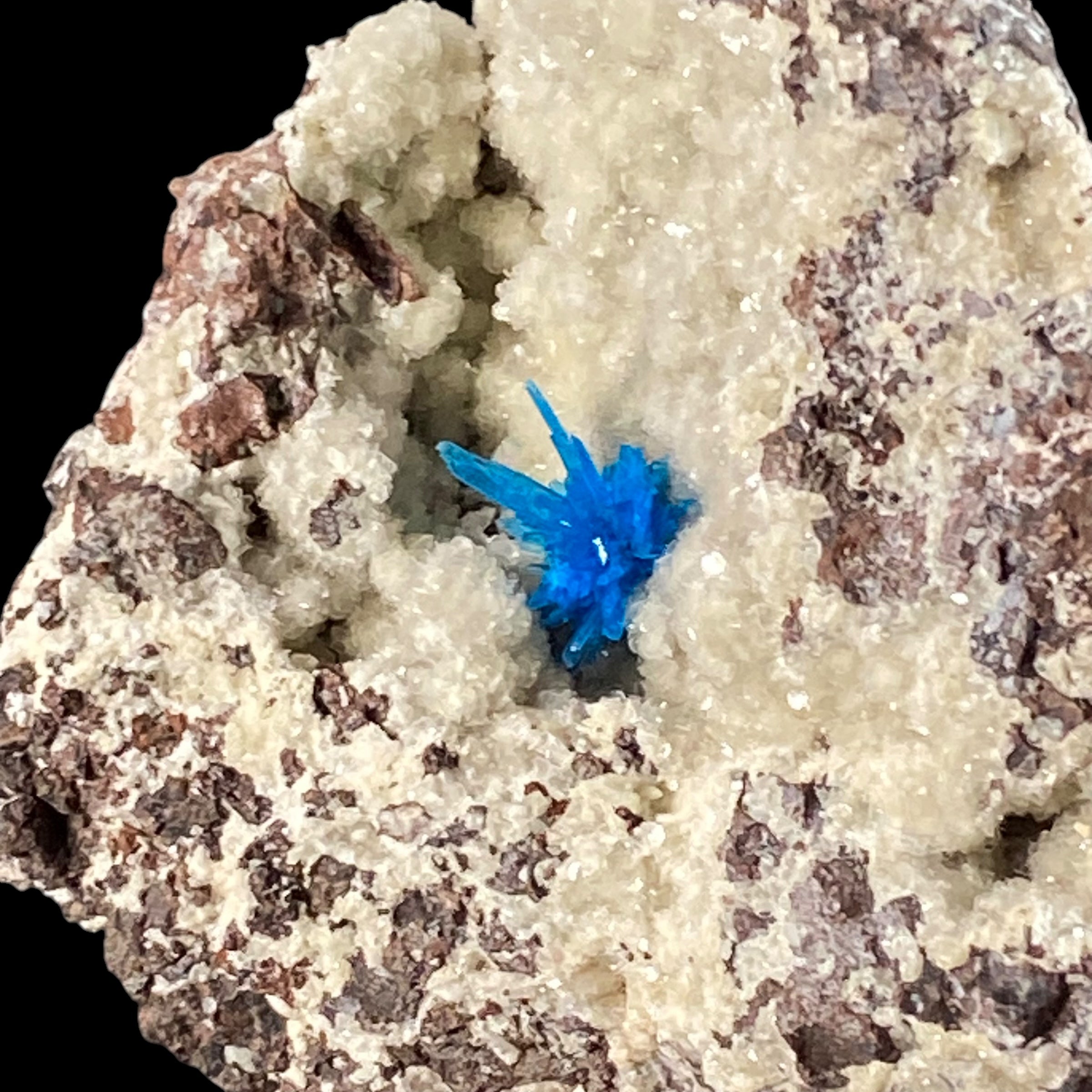 Vibrant Blue Pentagonite Cluster on Druzy Stilbite & Basalt Matrix