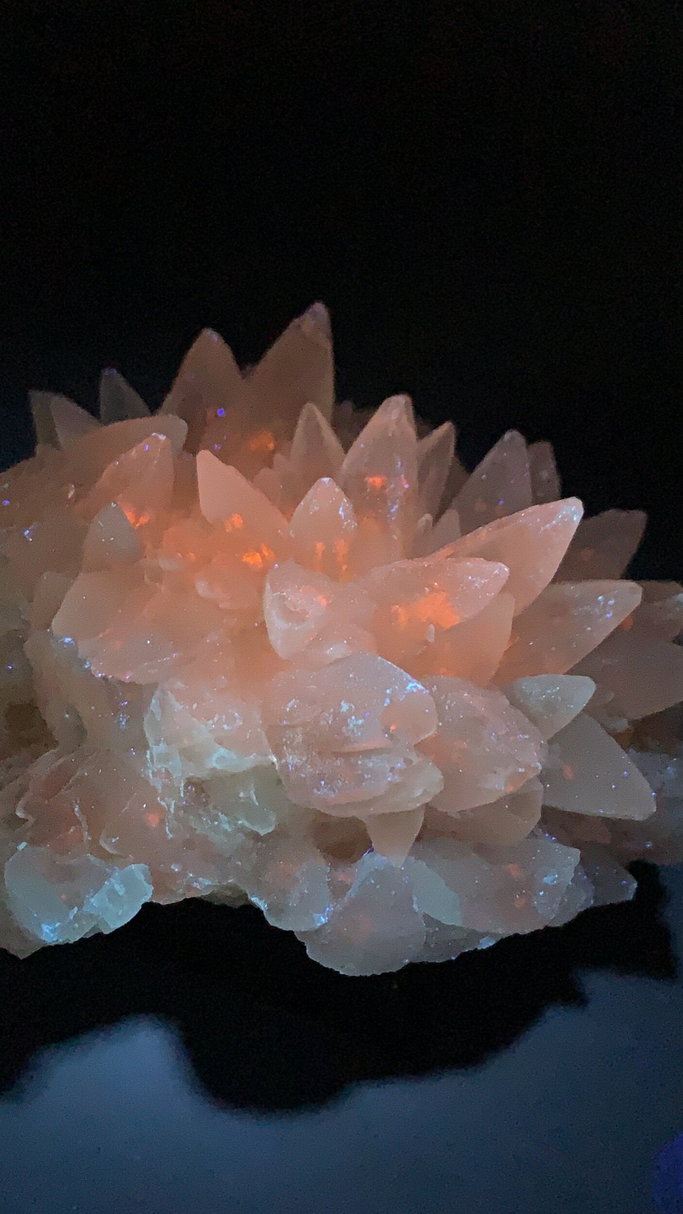 Dog Tooth Calcite Cluster on Purple Fluorite Matrix - UV Reactive - Fluorescent 365 nm Long Wave