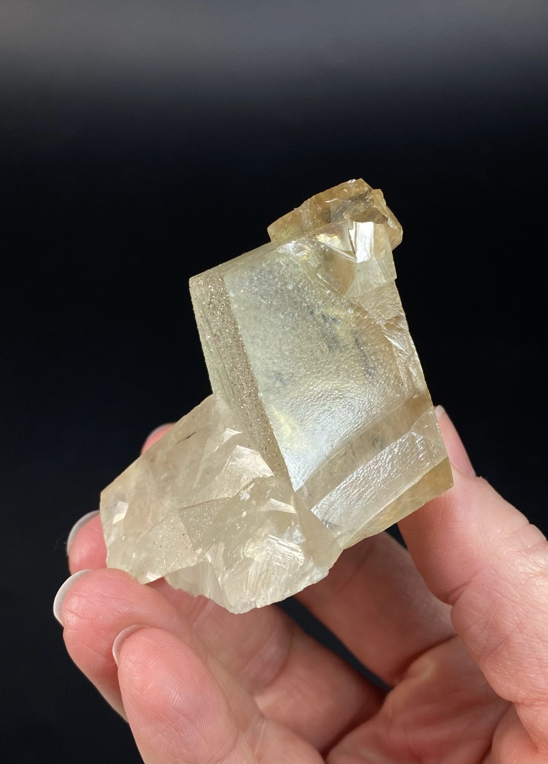 Golden Calcite Crystal Cluster with Druzy Clear Apophyllite