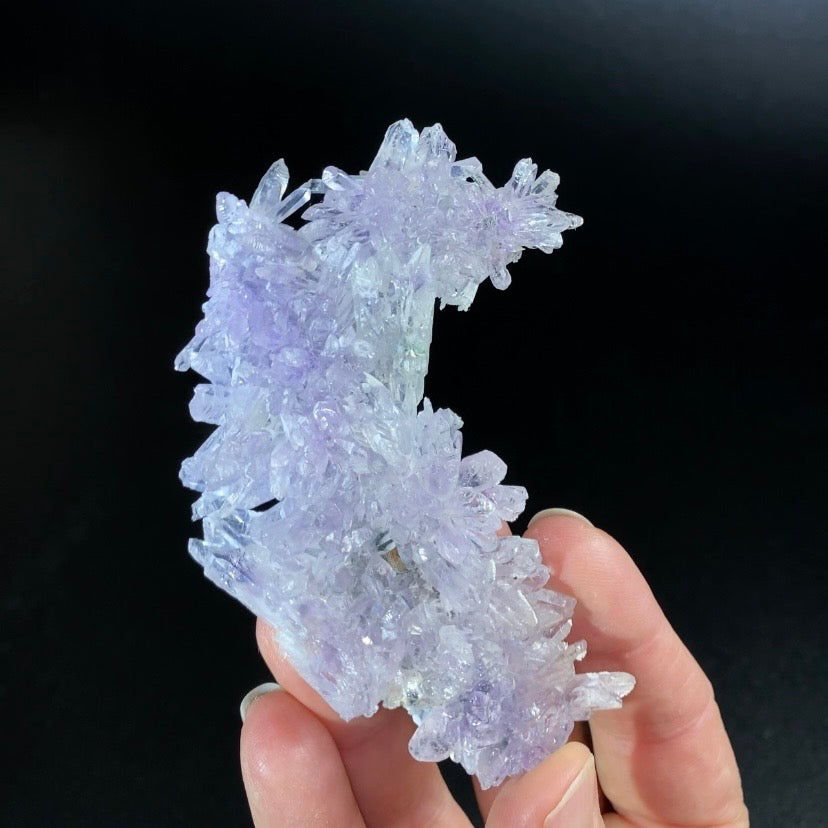 Amethyst Crystal Flower from Ametista do Sul, Brazil