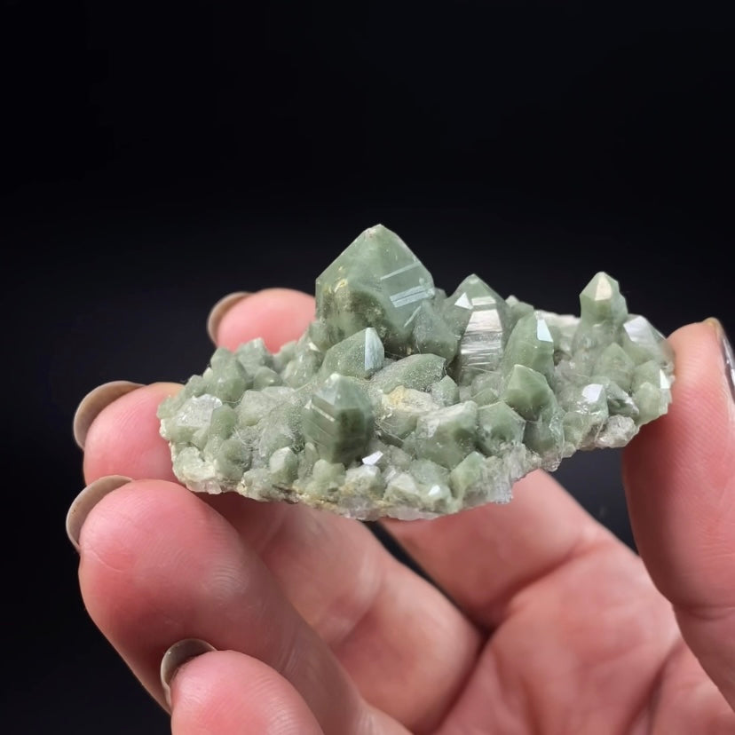 Lustrous Chlorite Included Quartz Cluster
