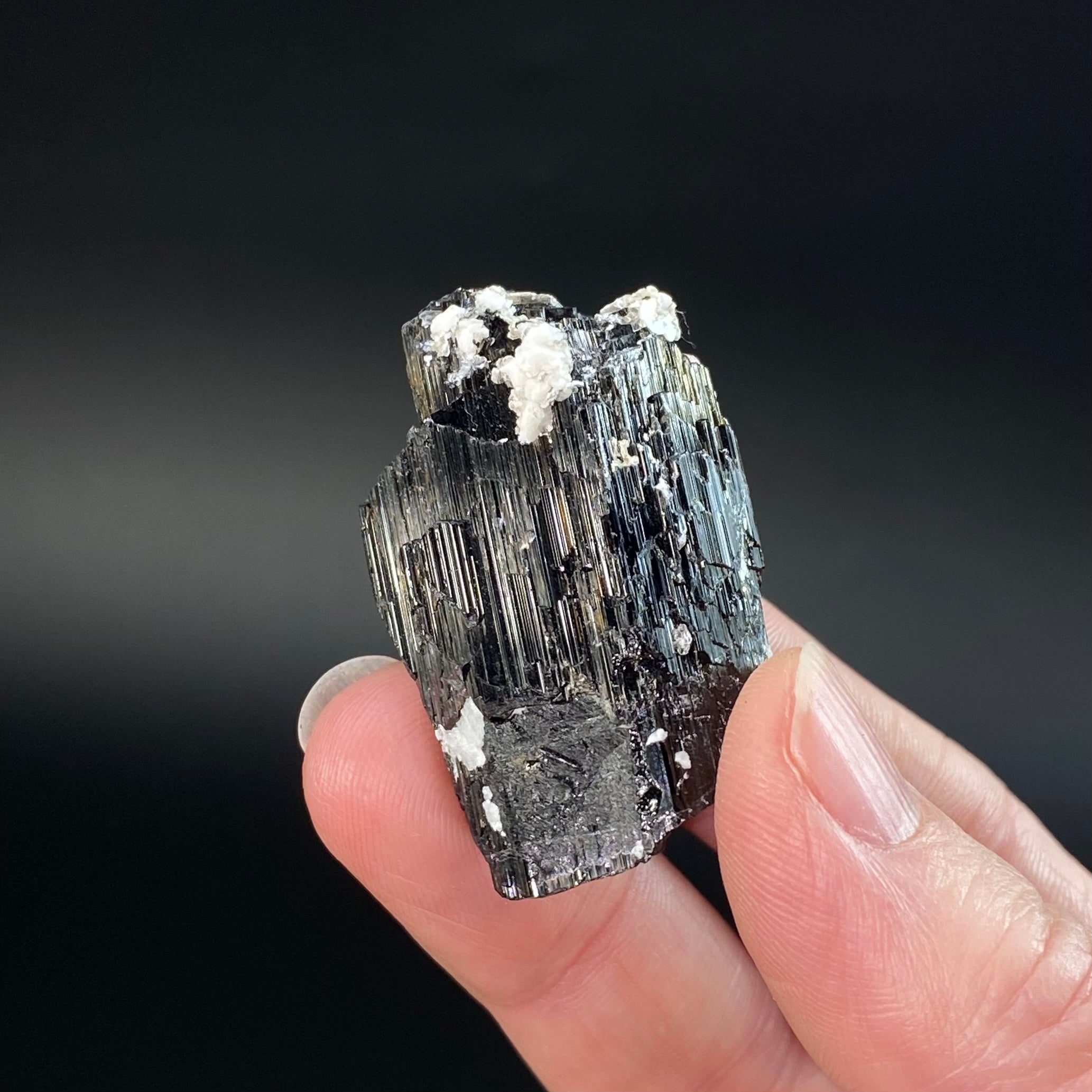 Etched Black Tourmaline Schorl with Mica