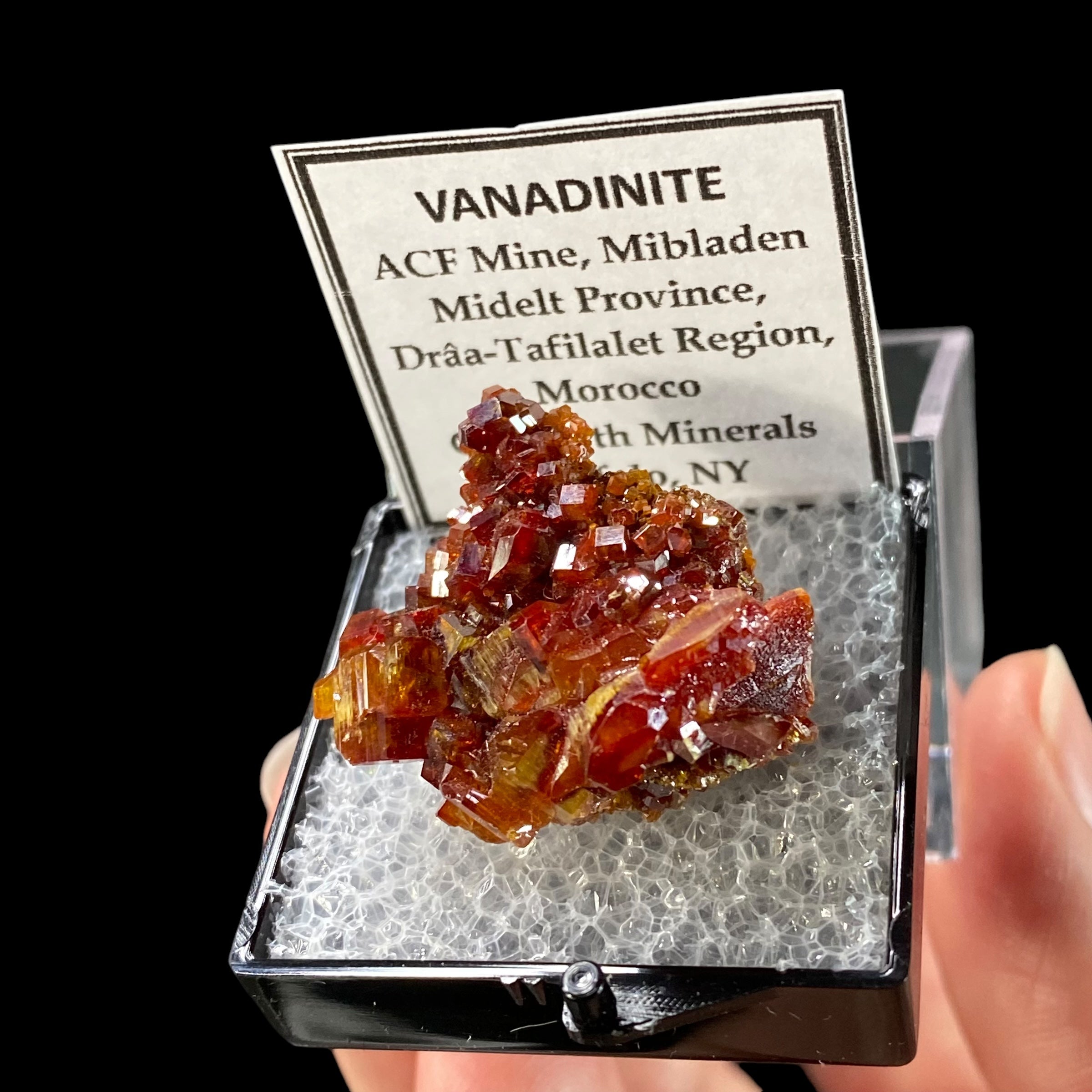 Gemmy Vanadinite Thumbnail Size Cluster in Perky Box