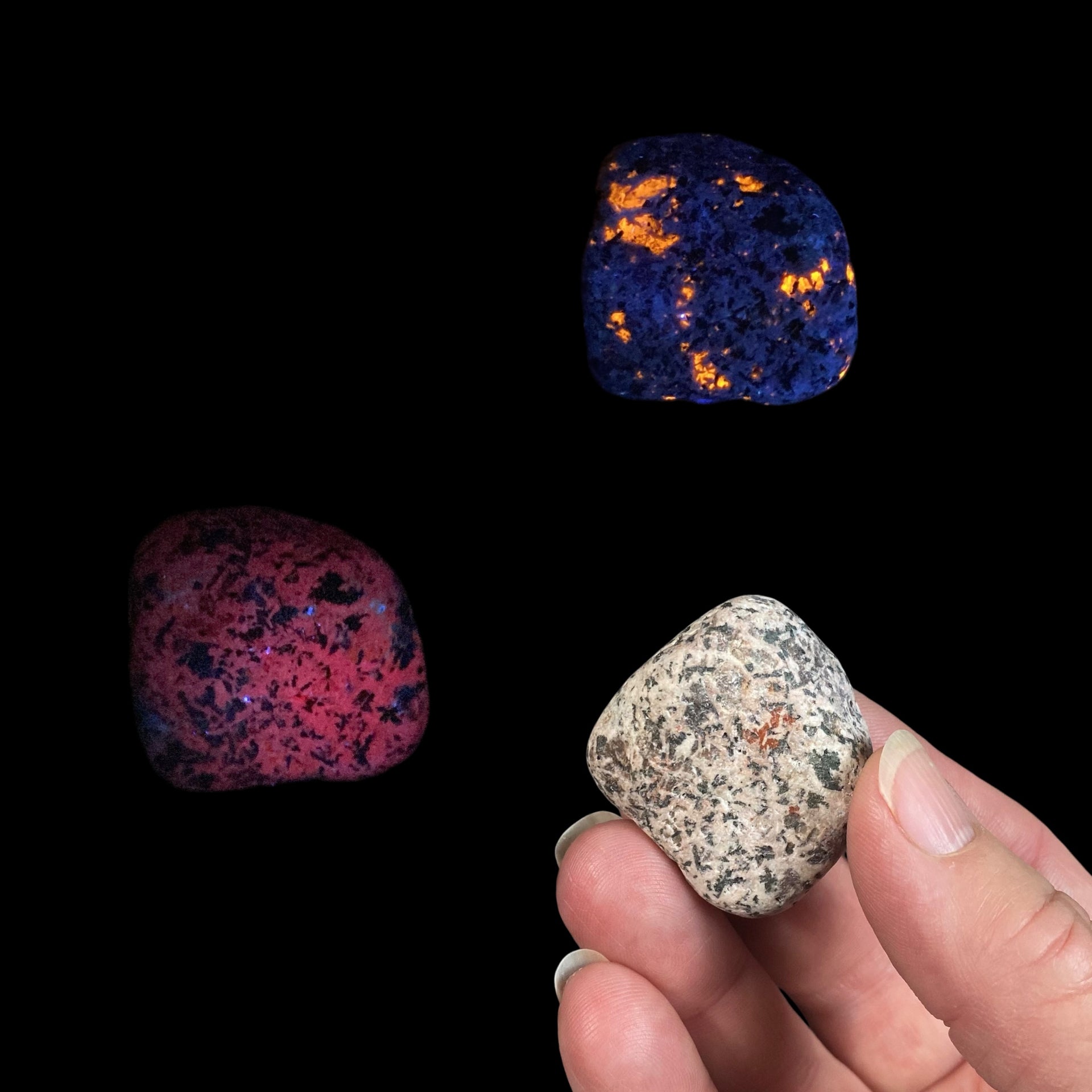 Yooperlite Fluorescent Sodalite with Syenite Yooper Stone