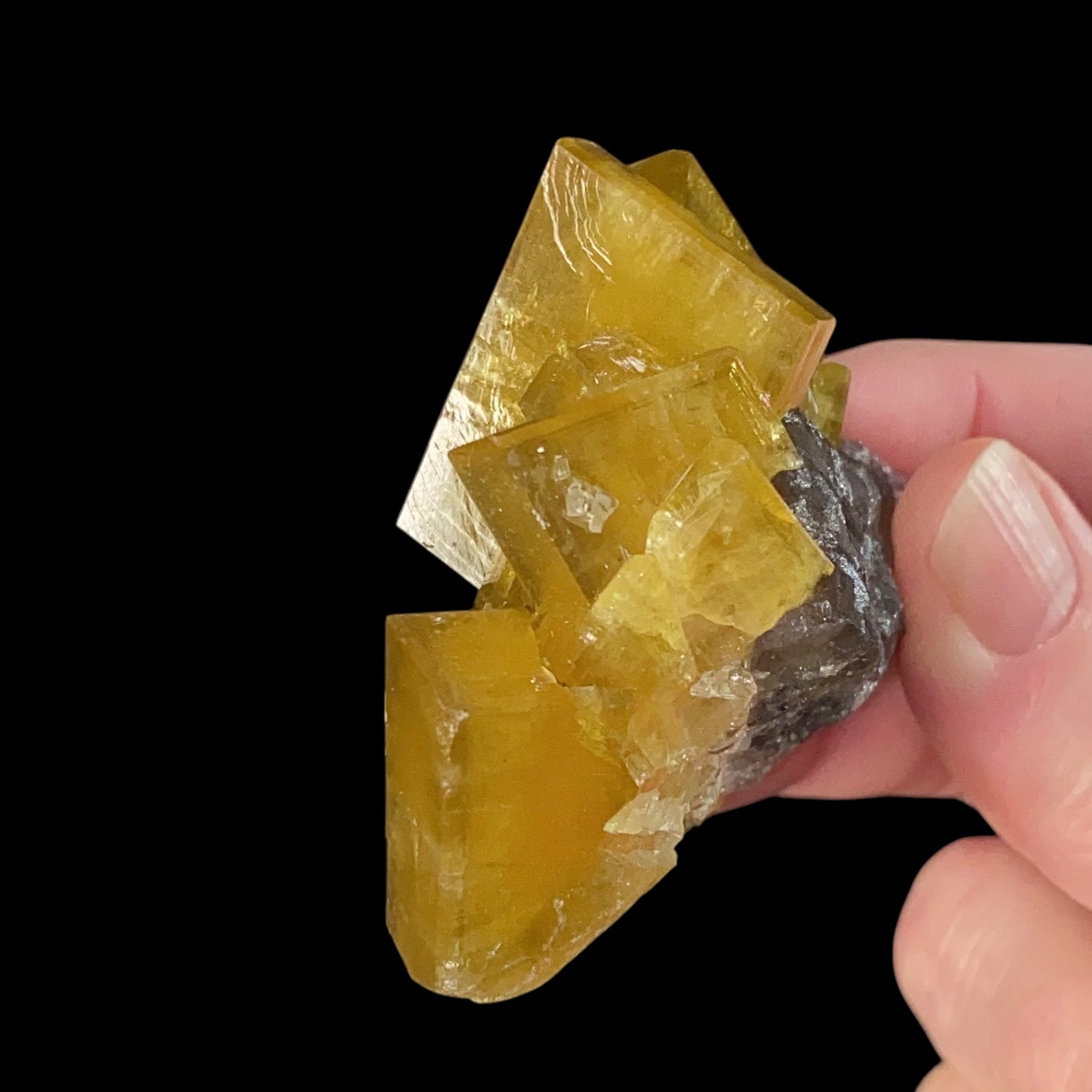Golden Yellow Barite Rhombohedrons on Fluorite Matrix,