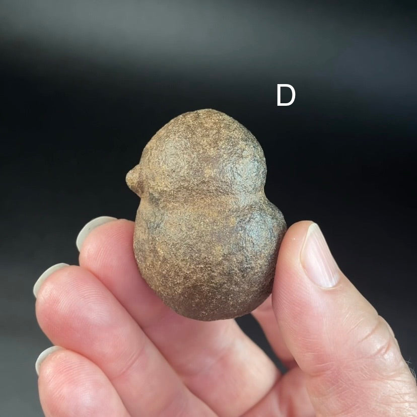 Shaman Stone aka Moqui Marble Conjoined Twin Stone