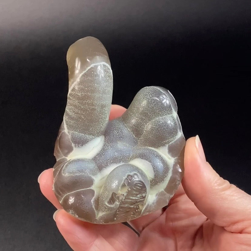 Dark Gray Agatized Botryoidal Chalcedony – High Contrast – Maharashtra, India