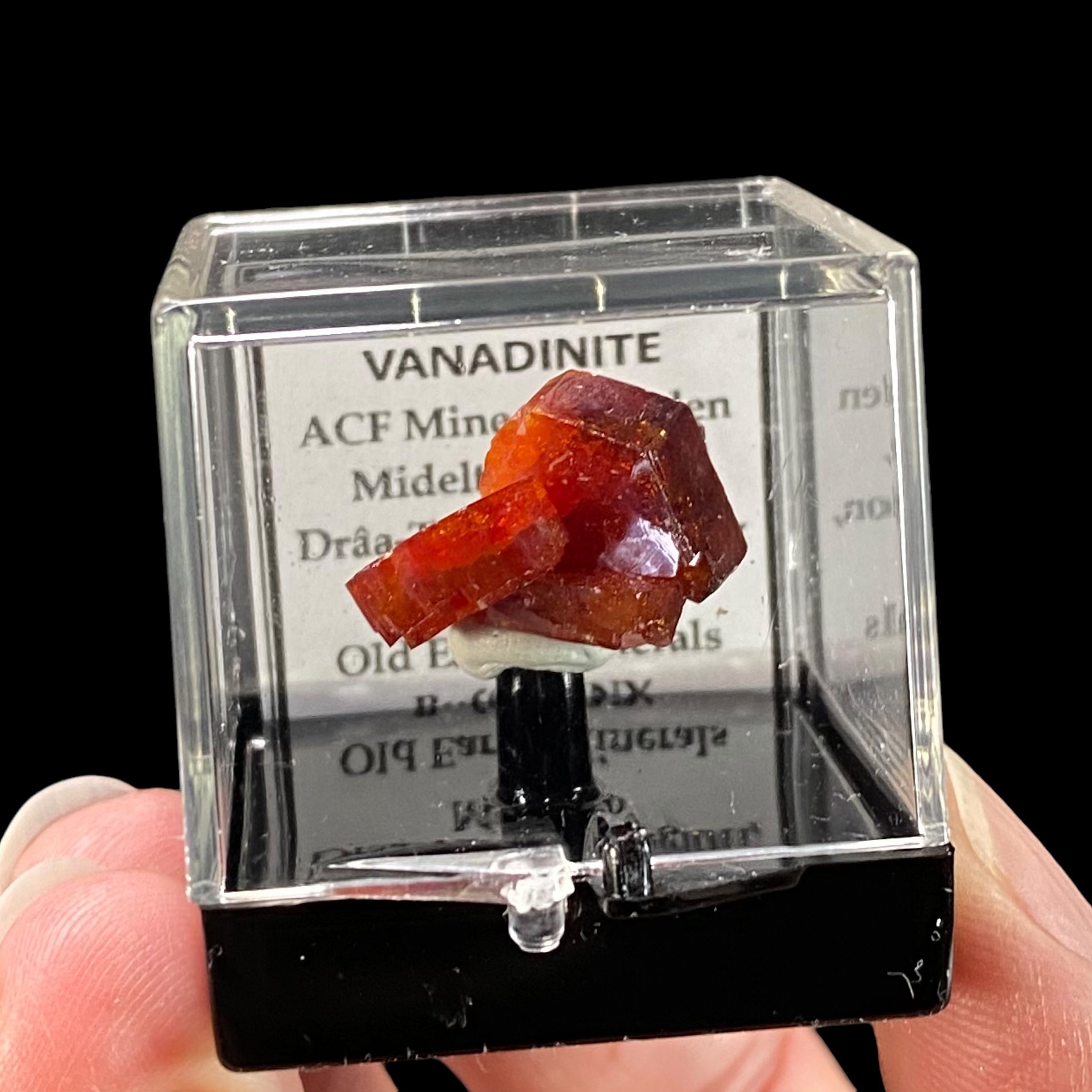 Gemmy Vanadinite Thumbnail Size Cluster in Perky Box