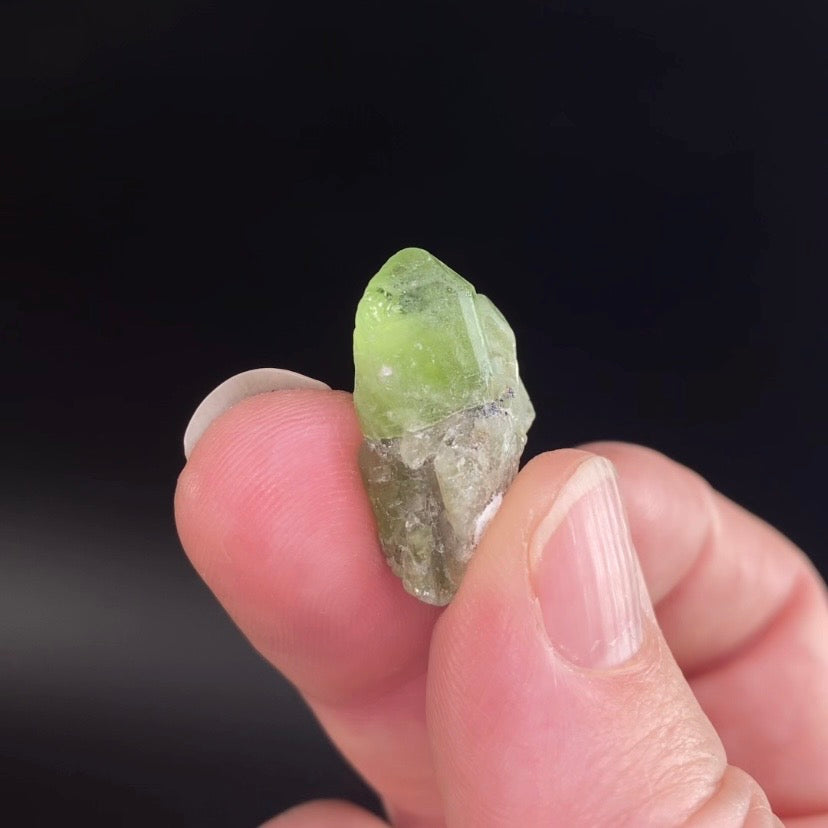 Terminated Peridot Crystal from Kohistan, Pakistan