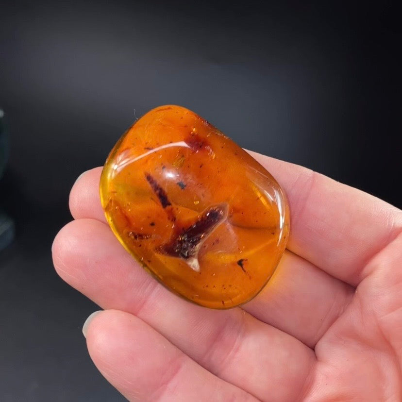 Polished Amber with Inclusions from Cimitarra, Colombia