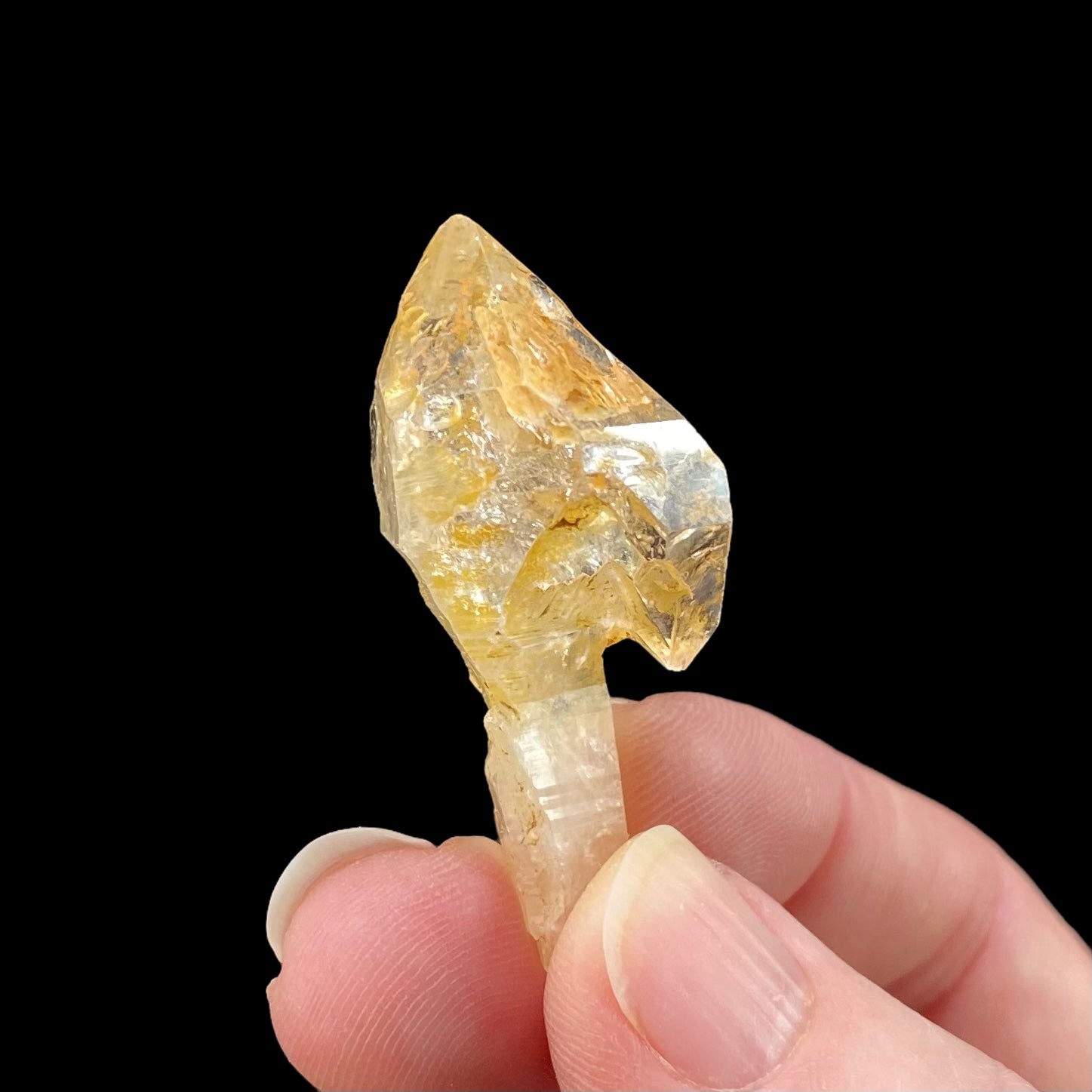 Golden Fenster Scepter Quartz Crystal with Double Terminations