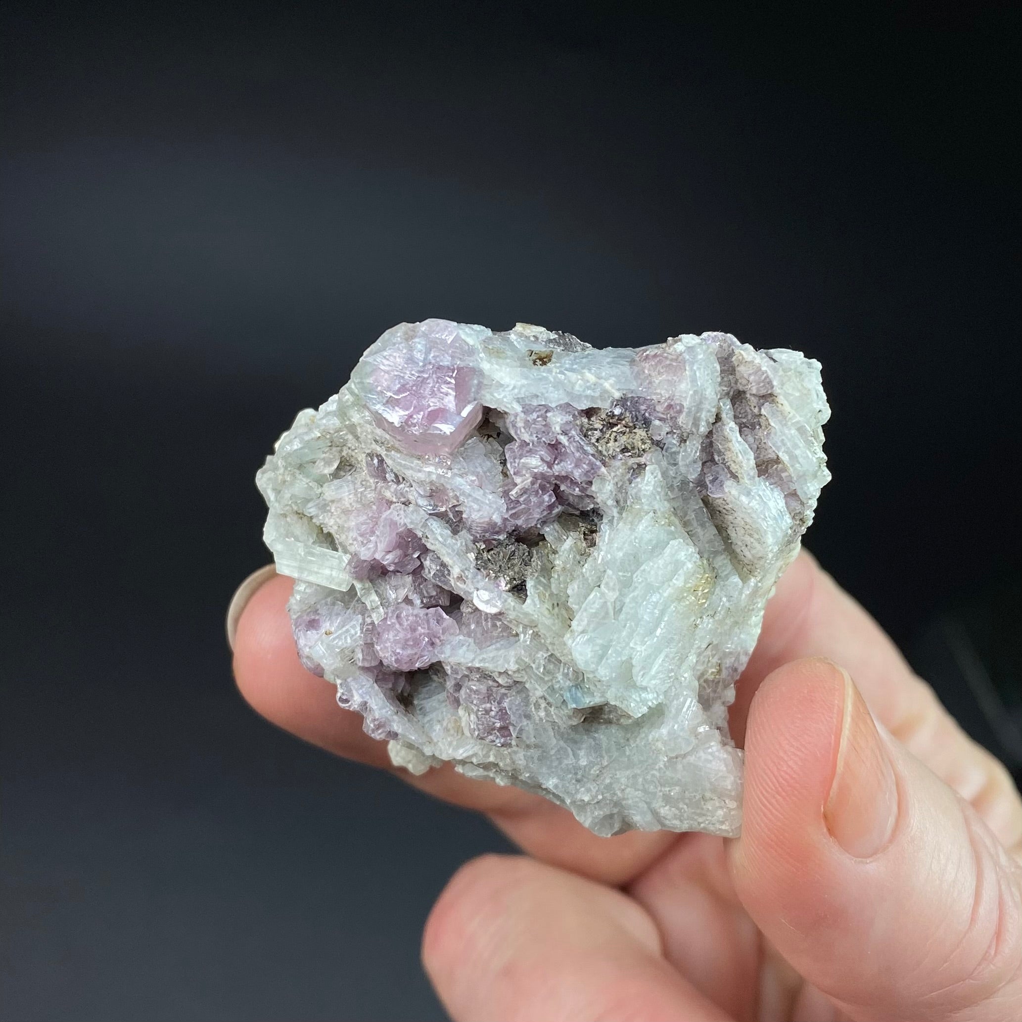 Pale Green & Pink Watermelon Tourmaline Crystal with Lepidolite & Cleavelandite