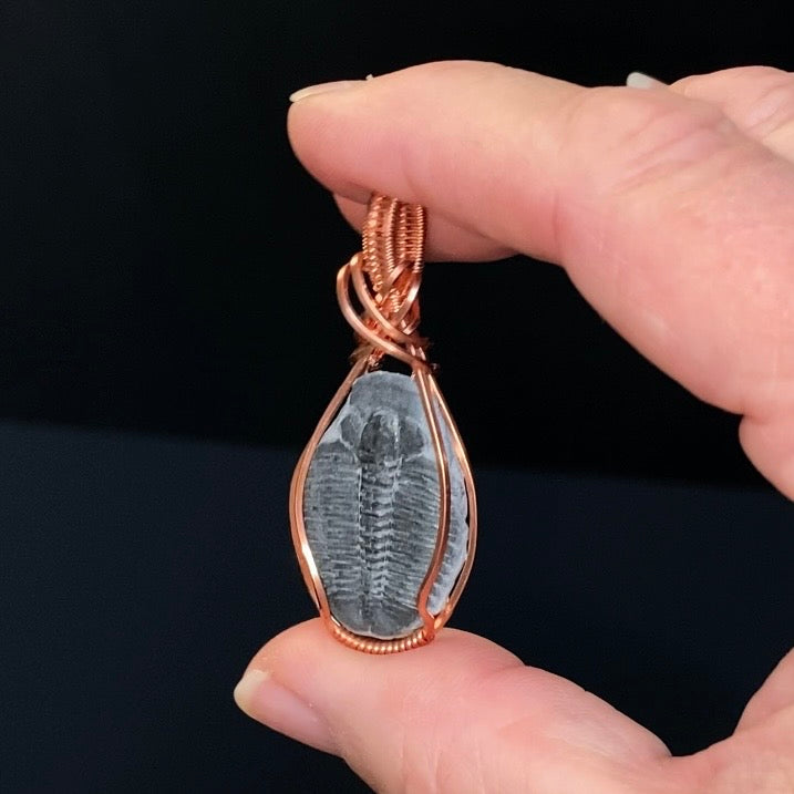 Fossilized Trilobite & Copper Wire Wrapped Handmade Pendant