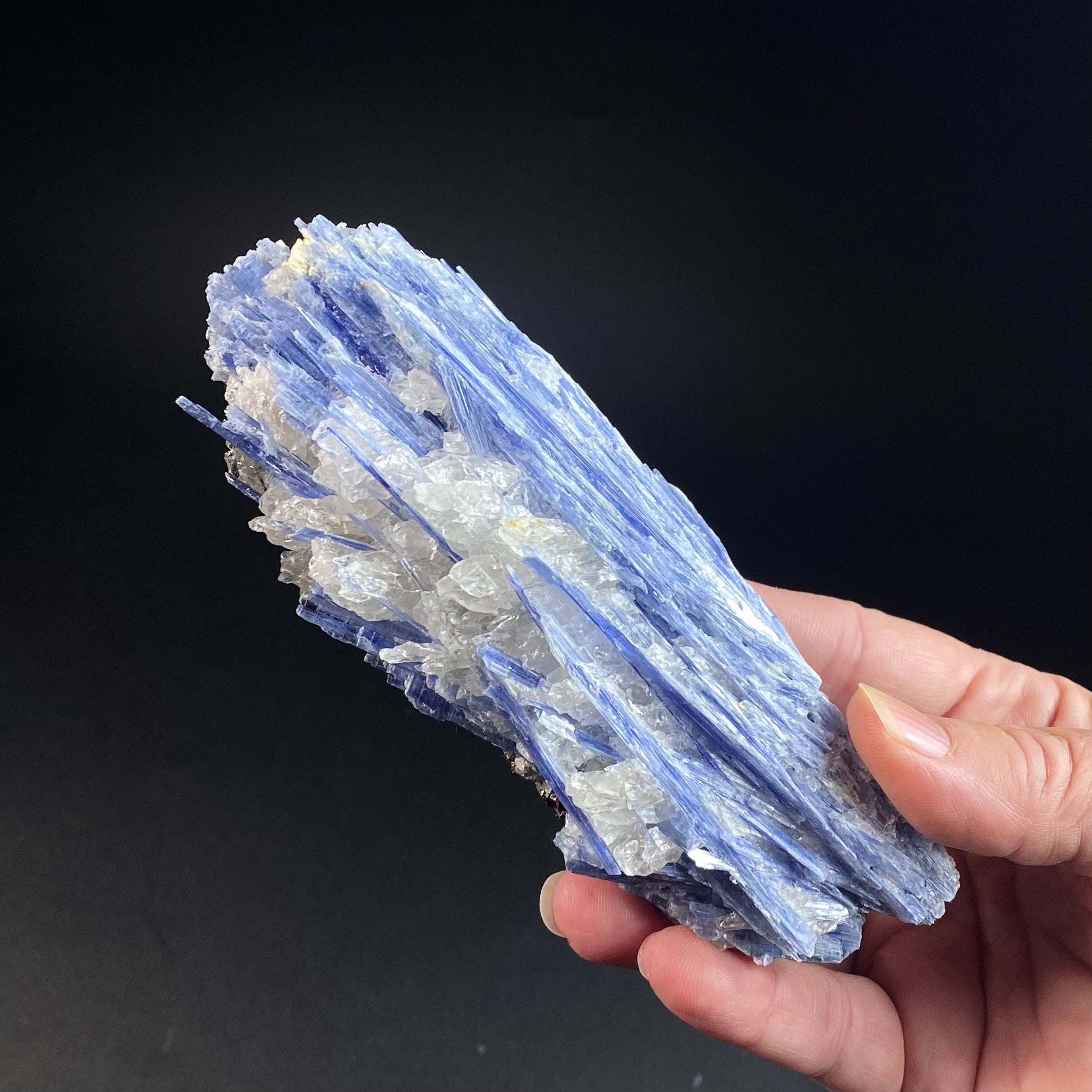 Blue Kyanite and Quartz Specimen from Minas Gerais, Brazil