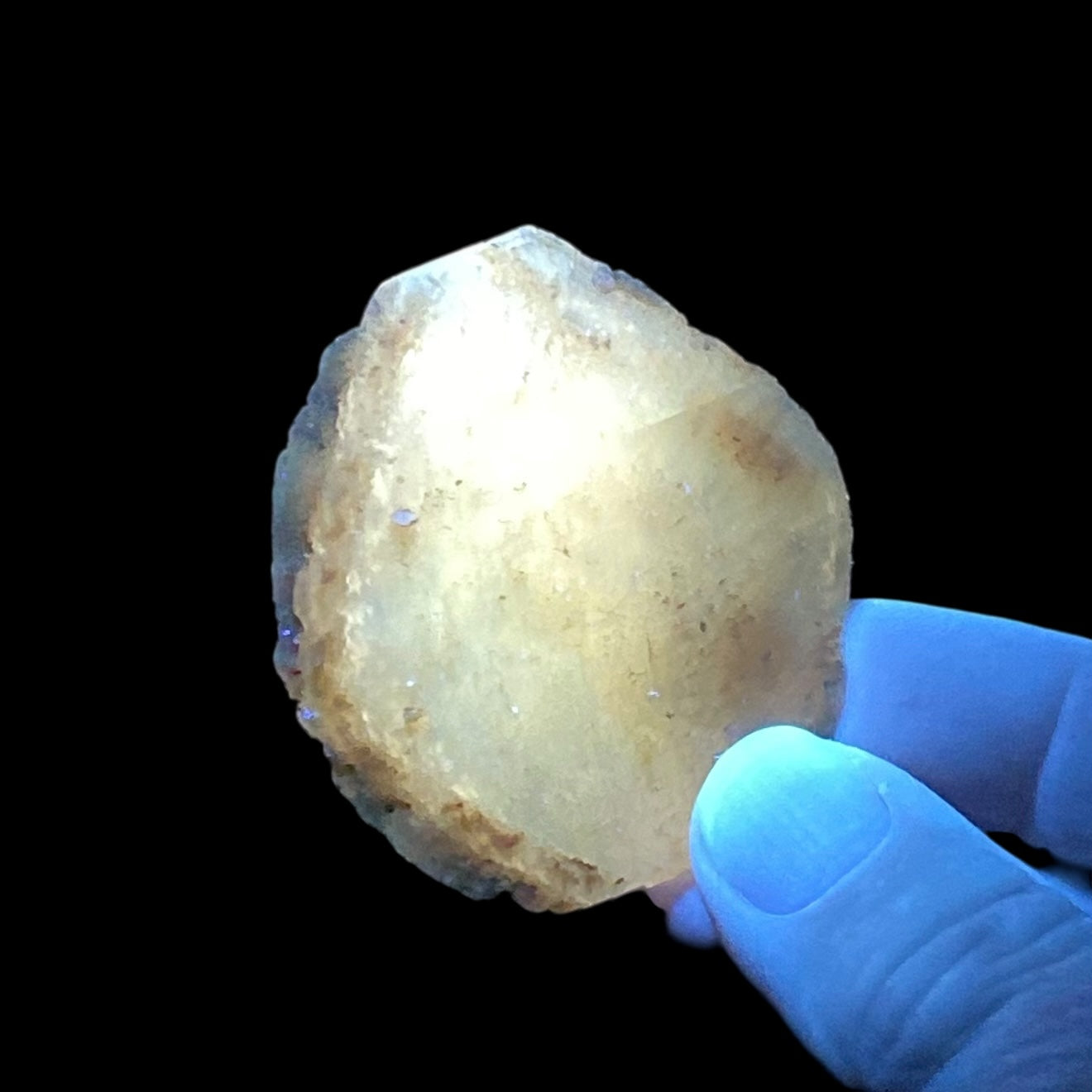 Gypsum var. Selenite Desert Rose Sand Crystal Dollar, Fluorescent