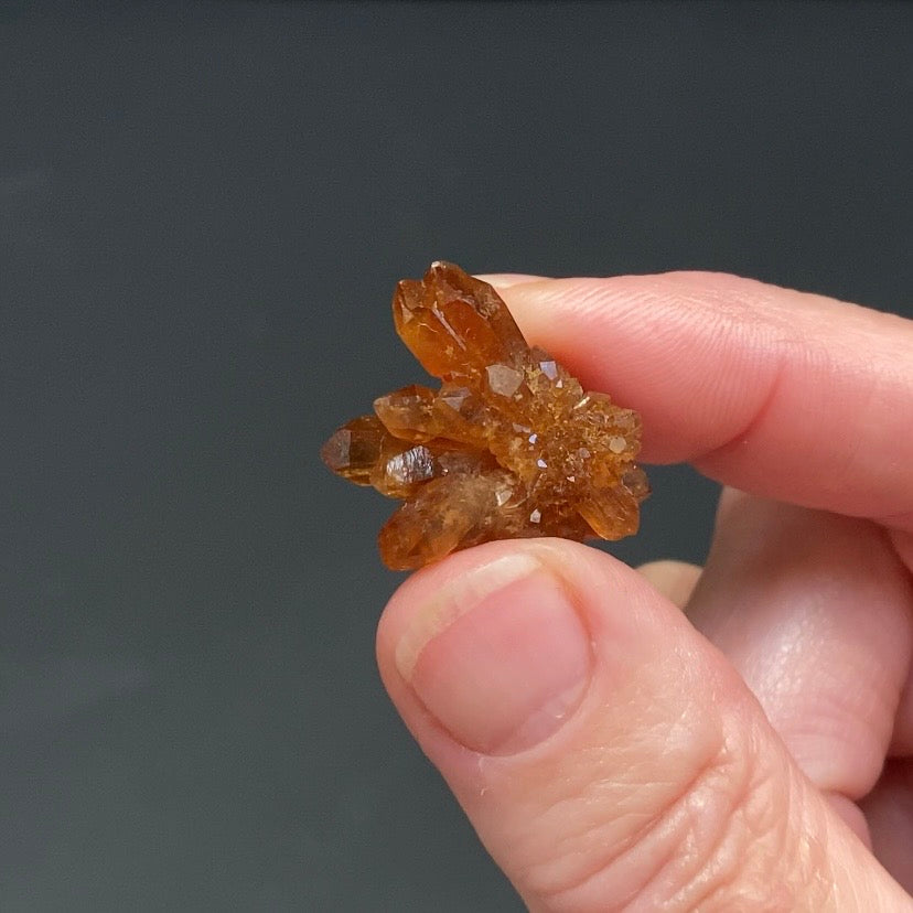 Floater Citrine Colored Honey Brown Quartz Flower Cluster - Midelt, Morocco